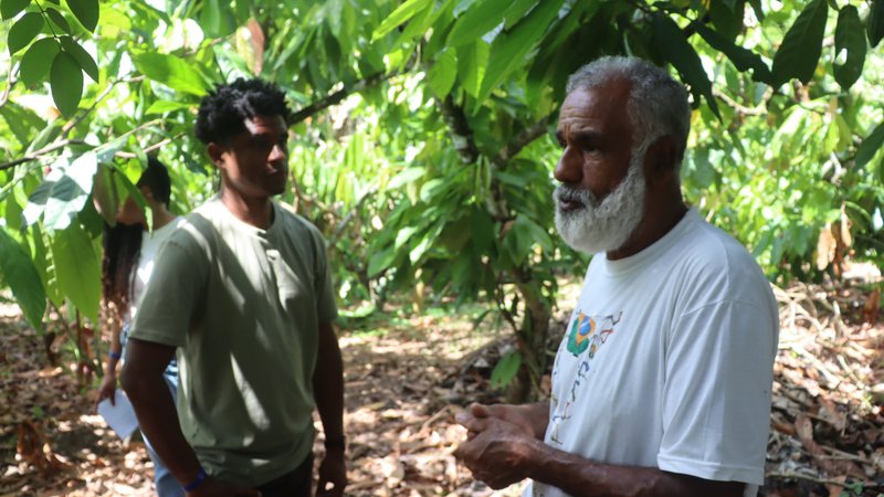 Cacau e Clima: Planetário da UFBA debate futuro da produção cacaueira no sul da Bahia