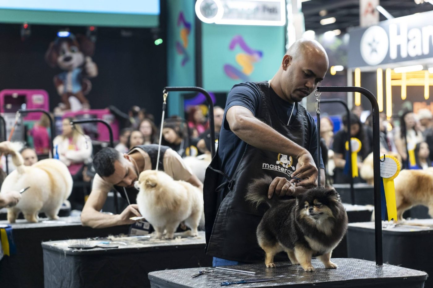 Salvador Sedia Maior Evento Pet do Nordeste em 2025: Expo Mundo PET